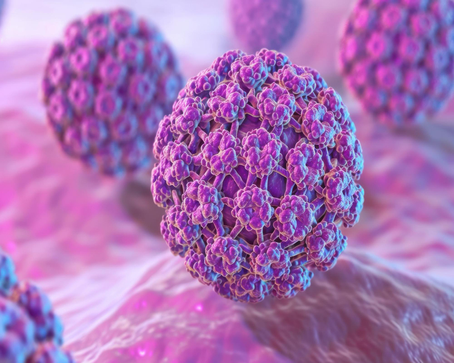 HPV Nedir? HPV Belirtileri Nelerdir, Nasıl Bulaşır?