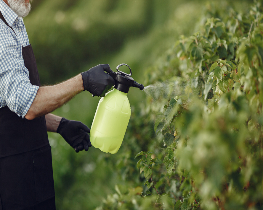 Pestisitler: Riskleri ve Güvenli Beslenme Yolları