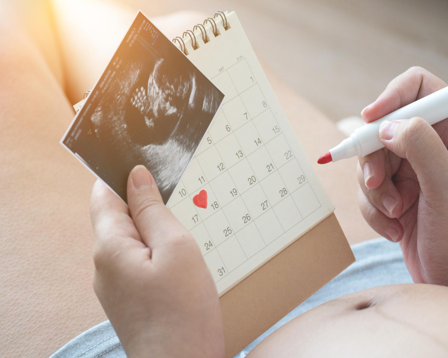 7 Haftalık Gebelik: Bebeğinizdeki Gelişmeler ve Annedeki Beklentiler