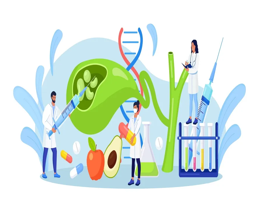 Safra Kesesi Nerede? Anatomisi, Görevleri ve Hastalıkları