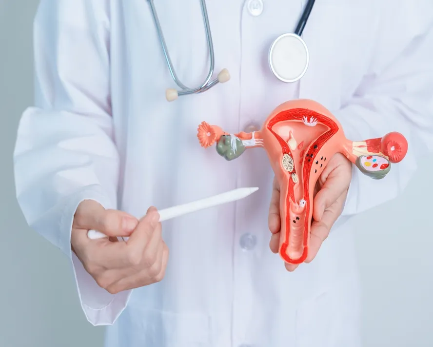 Genital Siğiller: Kapsamlı Rehber (Nedenleri, Belirtileri, Tedavi Yöntemleri)