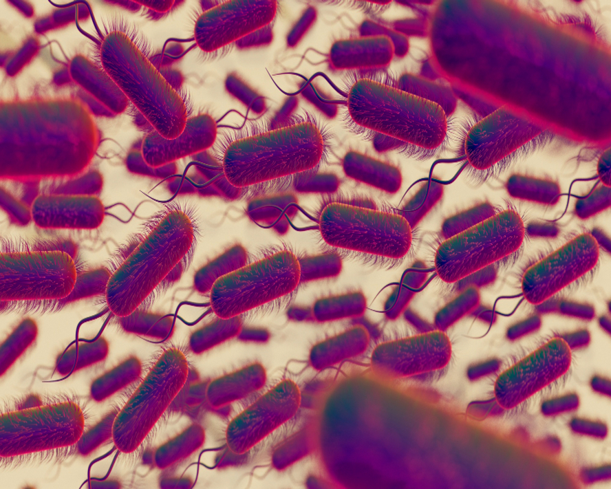 Escherichia Coli Enfeksiyonu: Kapsamlı Rehber