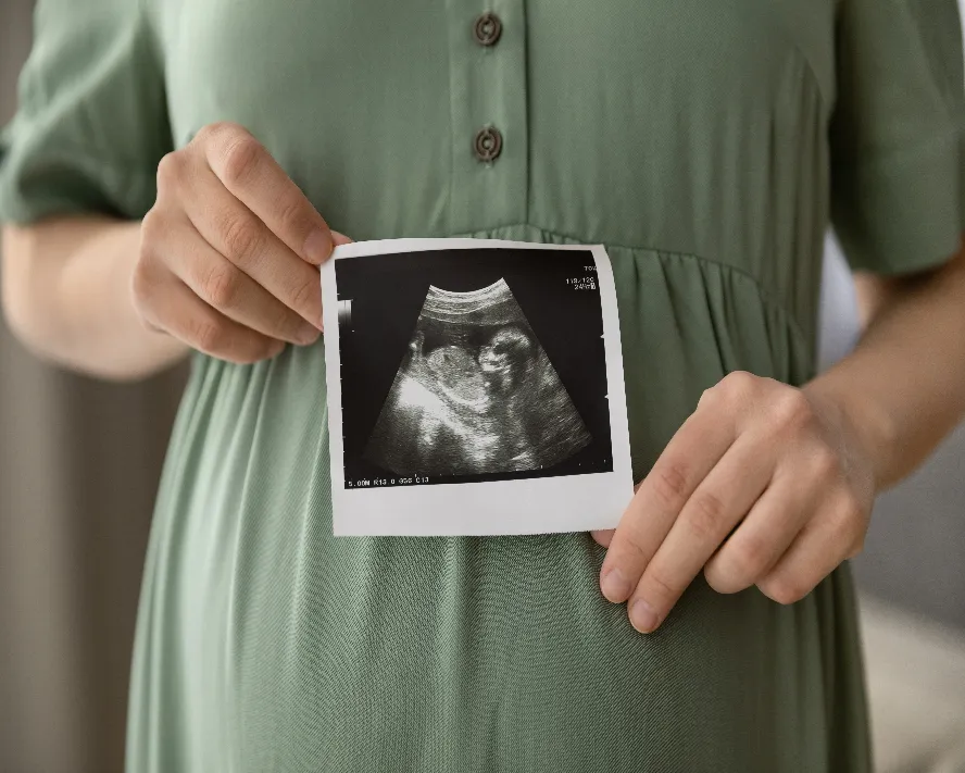 Progesteron Hormonu Nedir? Görevleri, Düşüklüğü ve Yüksekliği