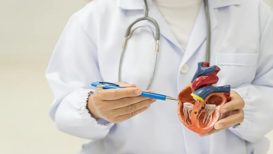 Ventriküler Septal Defekt (VSD) Nedir?