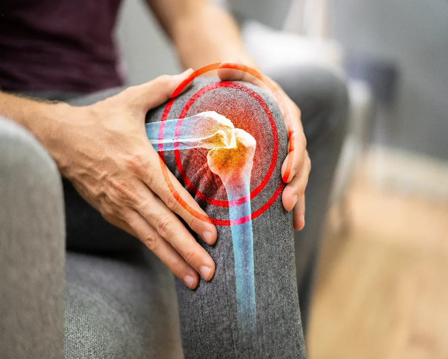Kaval Kemiği (Tibia): Anatomisi, Görevleri ve Sağlığı Hakkında Bilmeniz Gerekenler