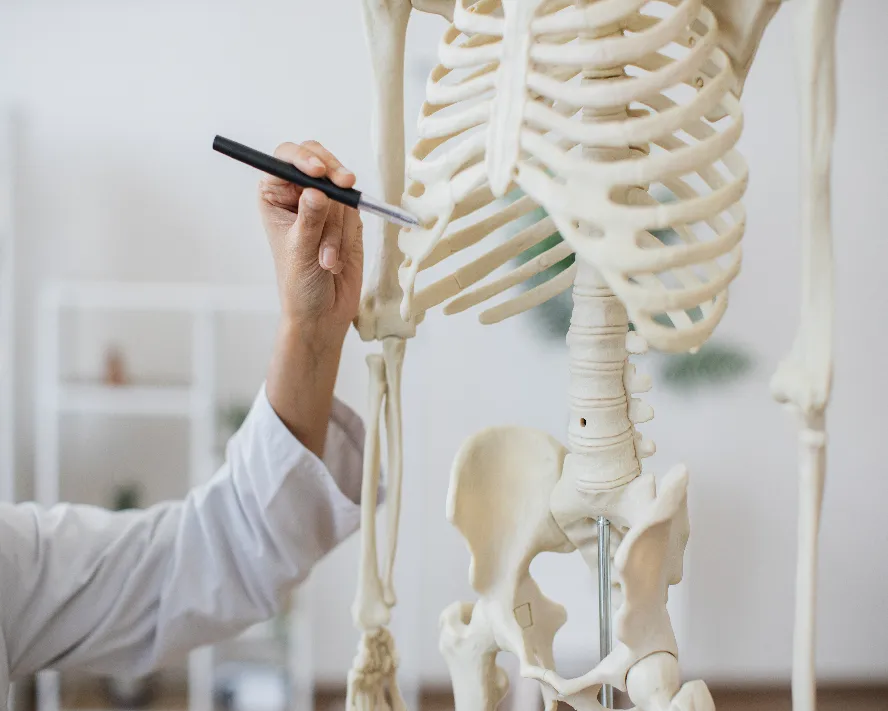 Hamilelikte Kaburga Ağrısı: Normal mi, Ne Zaman Doktora Gidilmeli?